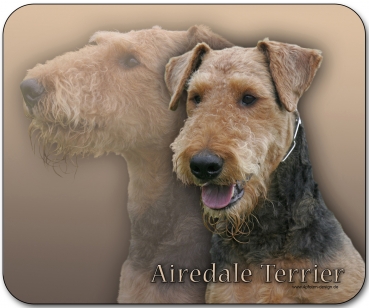 Mousepad Airedale Terrier #3